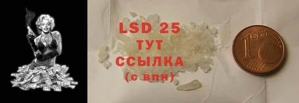 прущие грибы Архангельск