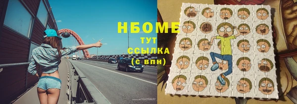 прущие грибы Архангельск