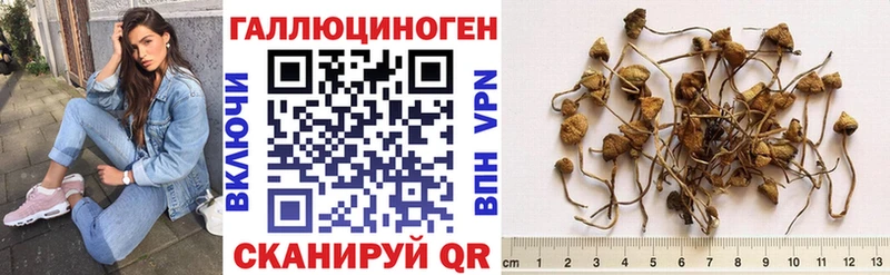 KRAKEN маркетплейс  купить наркоту  Нарткала  Галлюциногенные грибы Magic Shrooms 