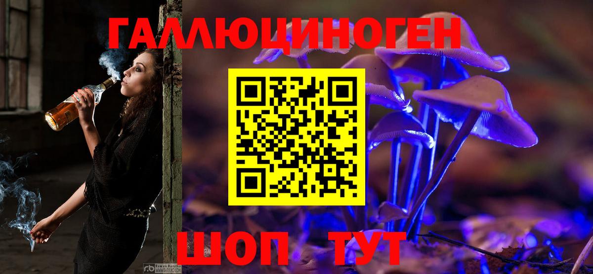 Псилоцибиновые грибы GOLDEN TEACHER  Вход с VPN  Нарткала 